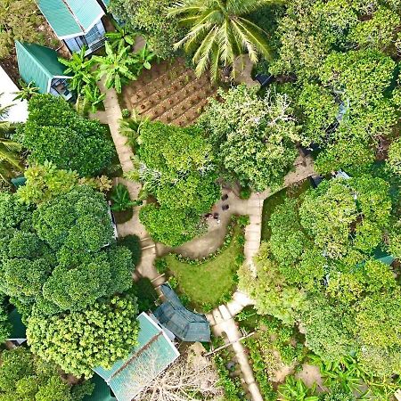 Homestay De La Rosa - Con Dao Chi Khu Co Ong 外观 照片