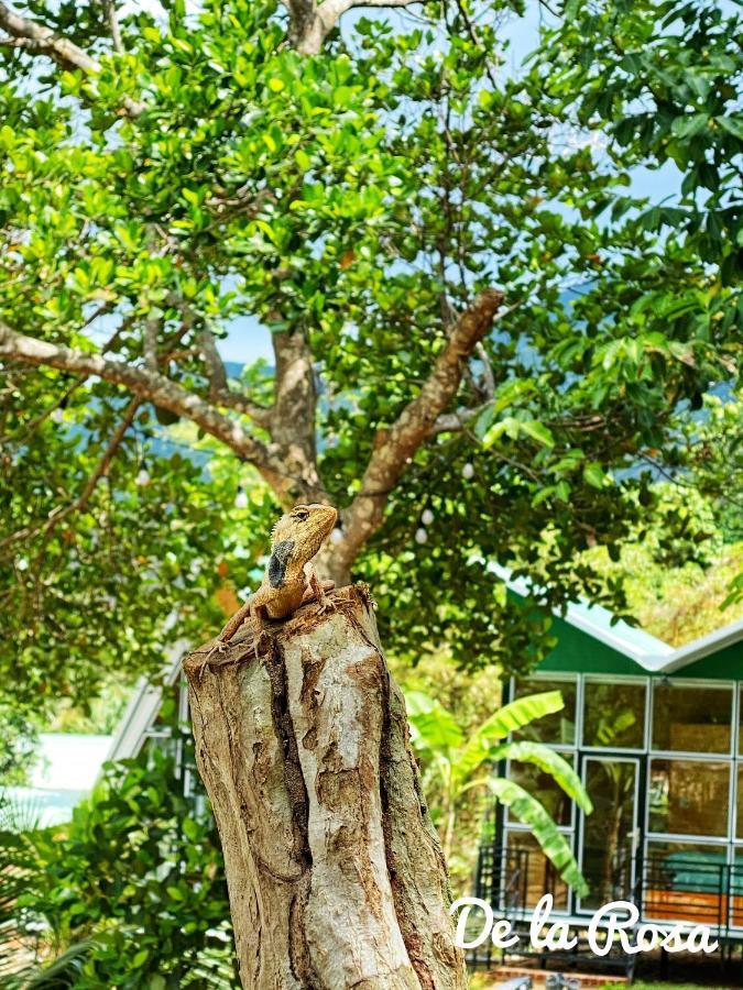 Homestay De La Rosa - Con Dao Chi Khu Co Ong 外观 照片