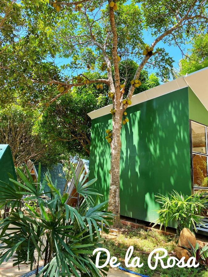 Homestay De La Rosa - Con Dao Chi Khu Co Ong 外观 照片